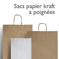 Sacs papier Kraft poignées torsadée