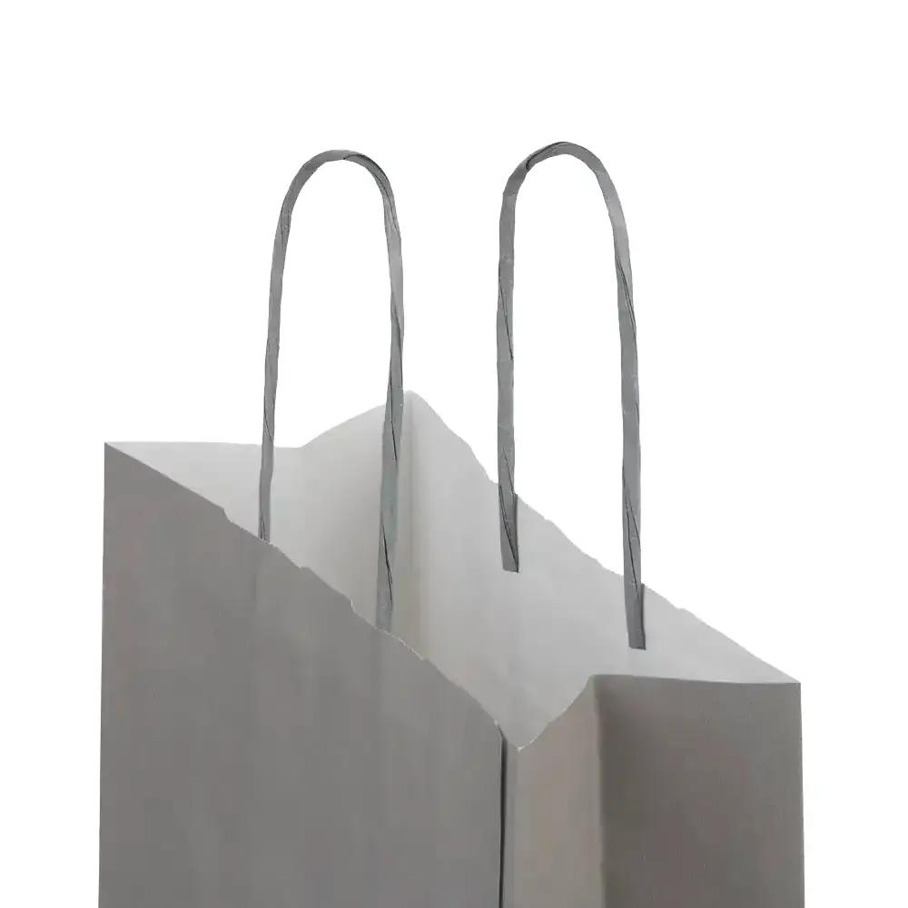 Sacs en papier kraft à poignées torsadées, gris